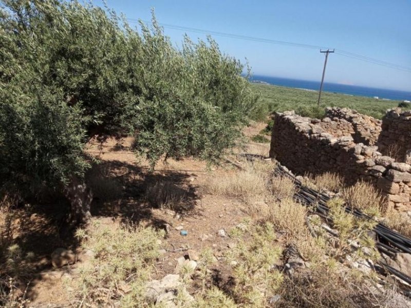 Kissamos Kreta, Kissamos: Grundstück in der Nähe des Strandes von Falassarna Grundstück kaufen